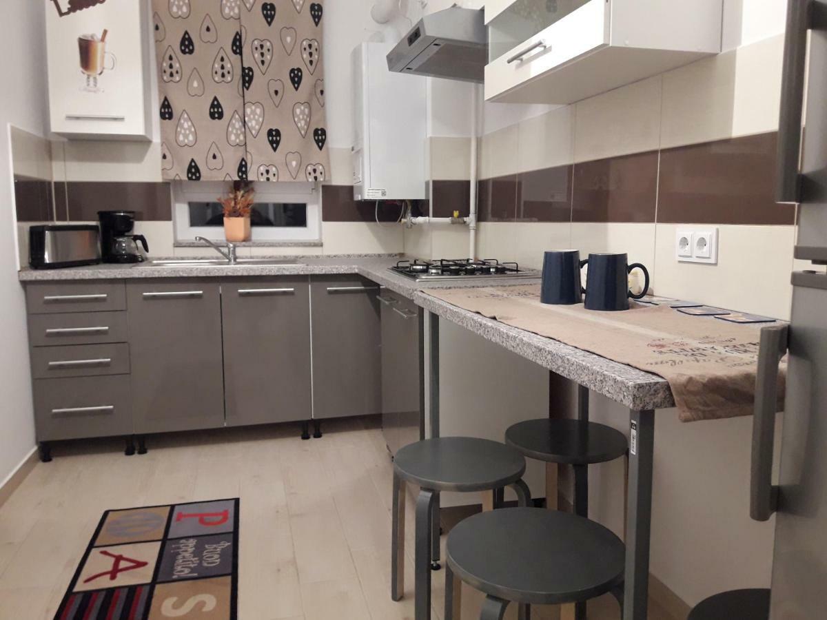 Apartament. Anida 布拉索夫 外观 照片