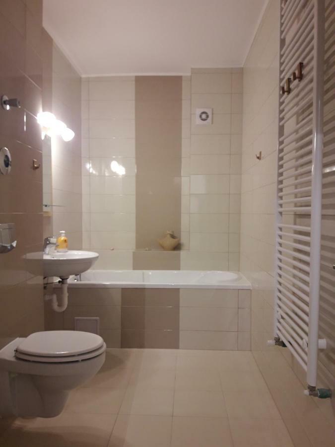 Apartament. Anida 布拉索夫 外观 照片