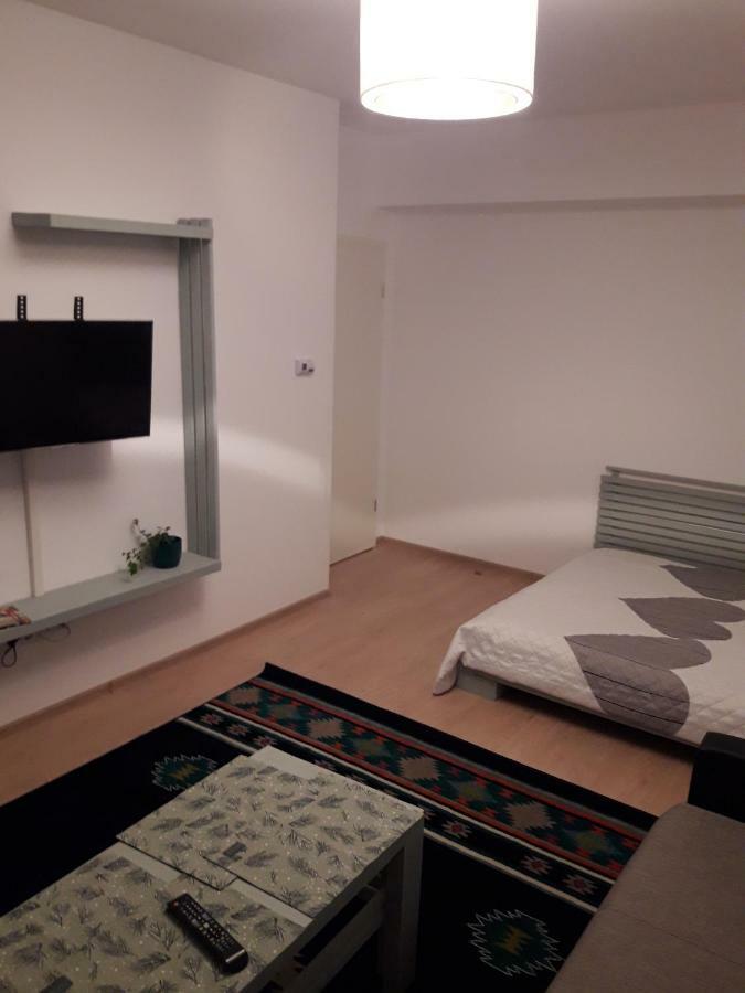 Apartament. Anida 布拉索夫 外观 照片