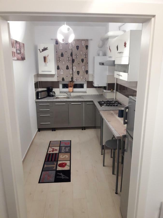 Apartament. Anida 布拉索夫 外观 照片