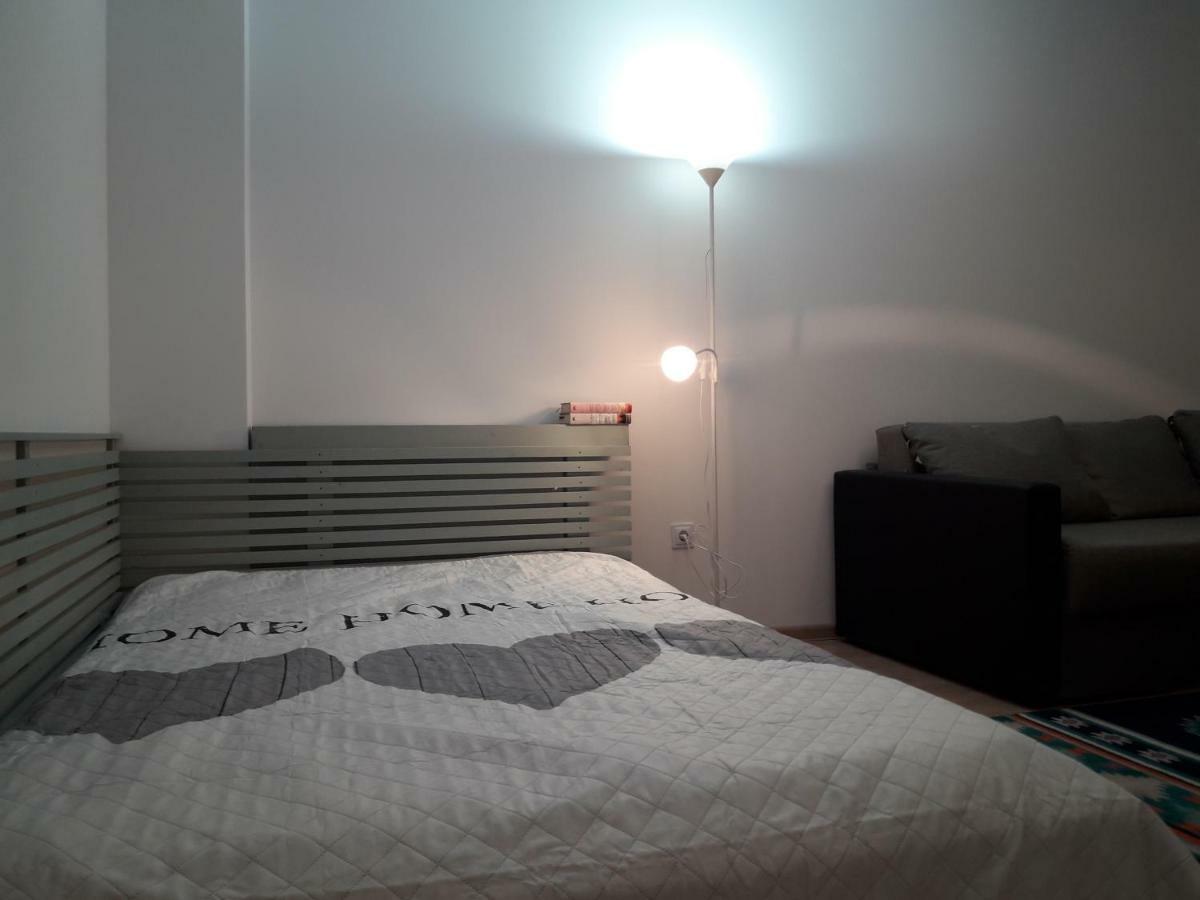 Apartament. Anida 布拉索夫 外观 照片