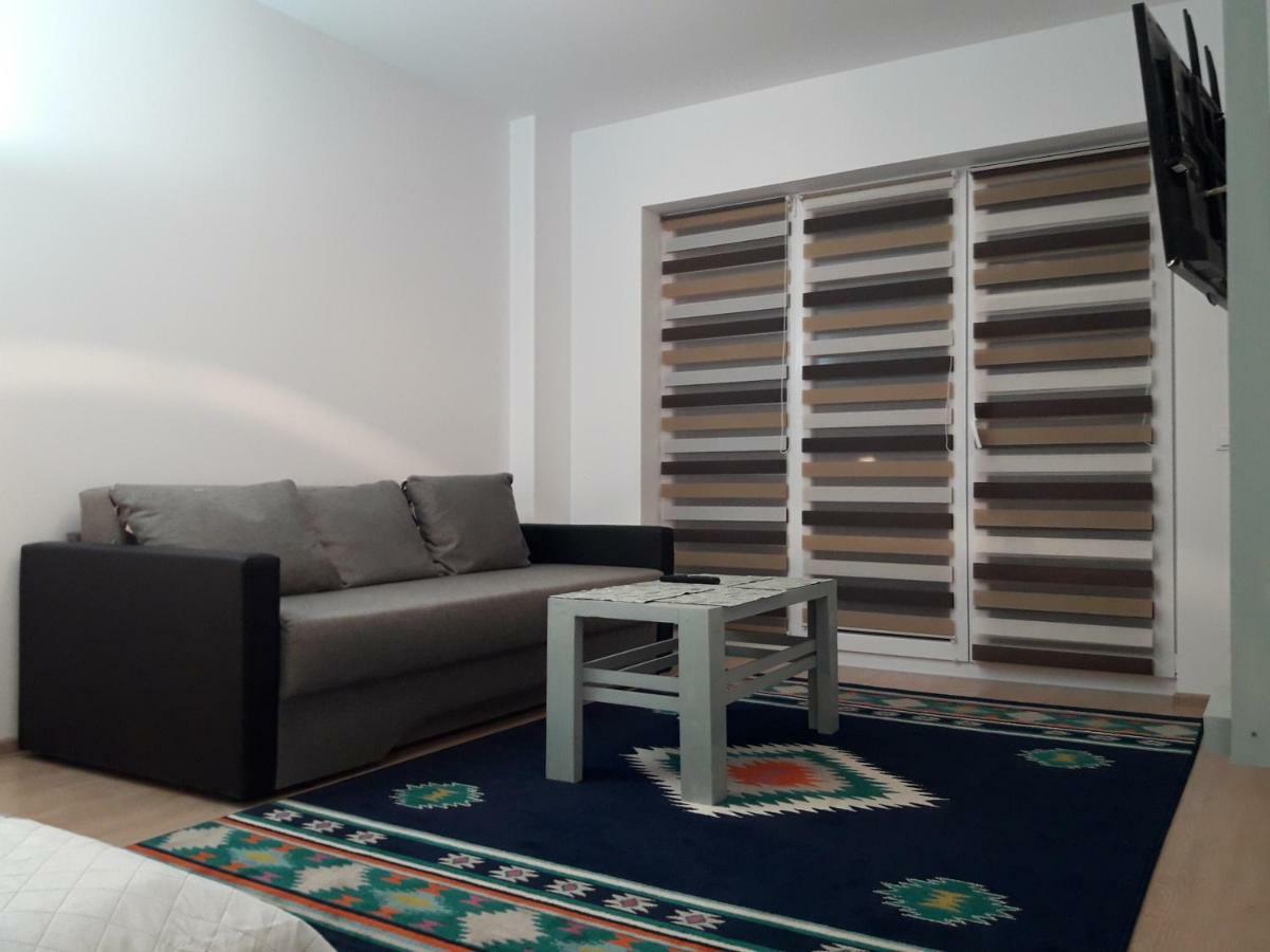 Apartament. Anida 布拉索夫 外观 照片