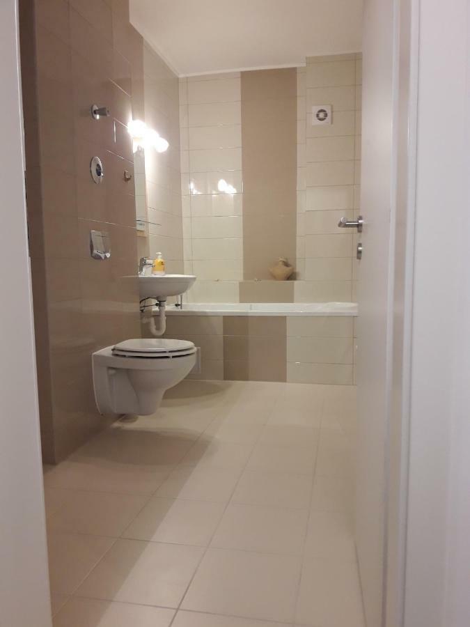 Apartament. Anida 布拉索夫 外观 照片